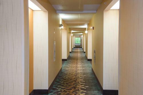 Hotel Pigeon River Inn
