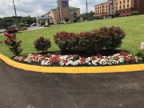 Motel Lotus Inn And Suites Nashville