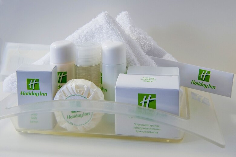 Hotel Holiday Inn Dijon