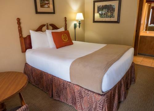 Motel Wild Bear Inn