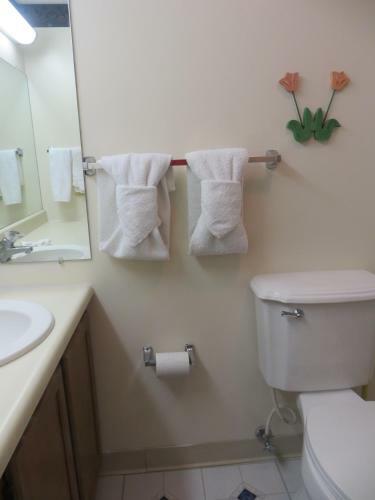 Motel River Place Inn & Cabins