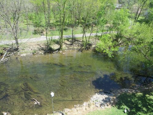 Motel River Place Inn & Cabins