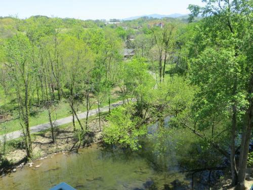 Motel River Place Inn & Cabins