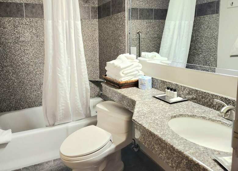 Wyndham Garden Hotel Austin