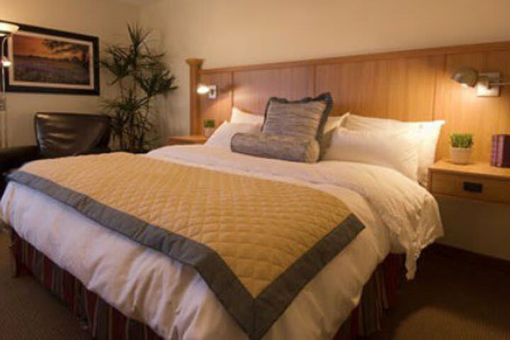 Wyndham Garden Hotel Austin