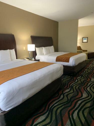 Hotel Comfort Suites Beaumont