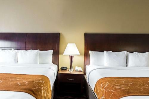 Hotel Comfort Suites Beaumont