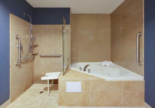Hotel Holiday Inn Channelview