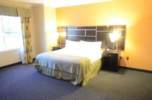 Hotel Holiday Inn Channelview