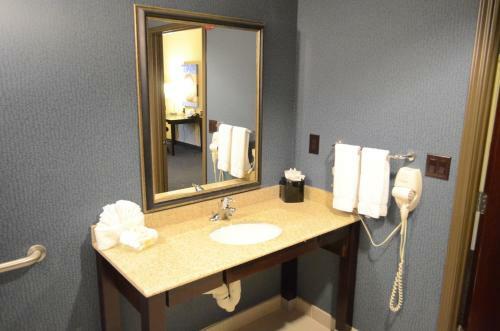 Hotel Holiday Inn Channelview