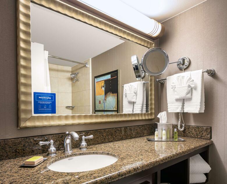 Hotel Doubletree By Hilton Dallas Market Center