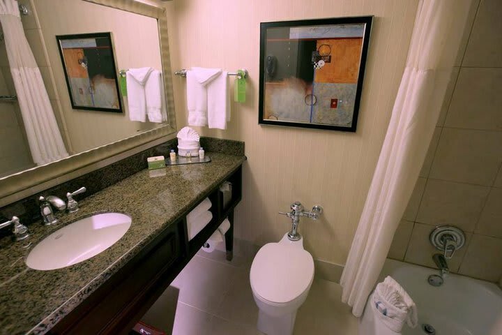 Hotel Doubletree By Hilton Dallas Market Center