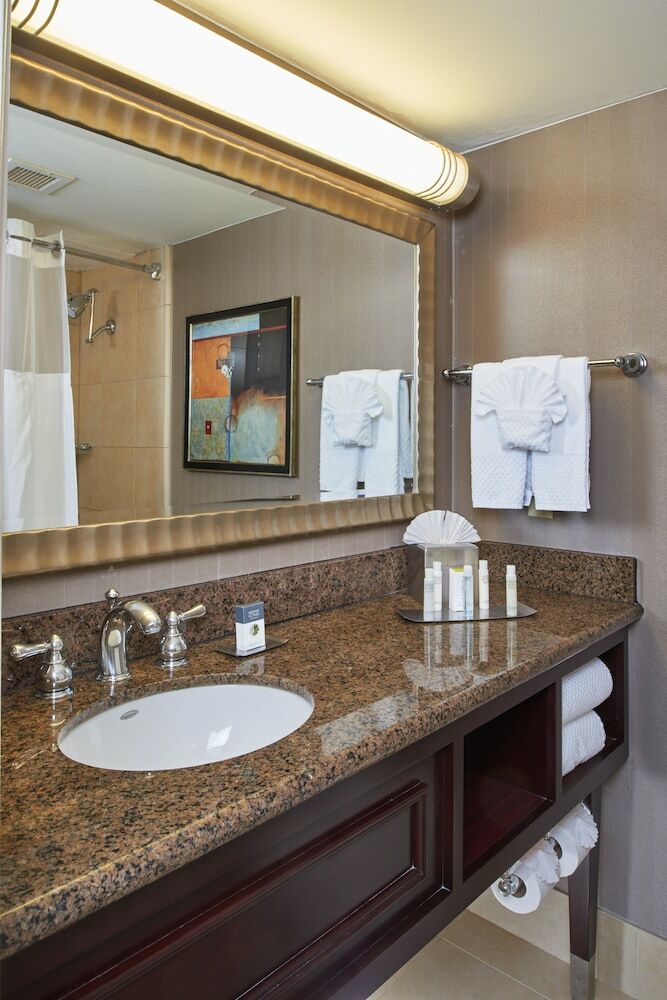 Hotel Doubletree By Hilton Dallas Market Center