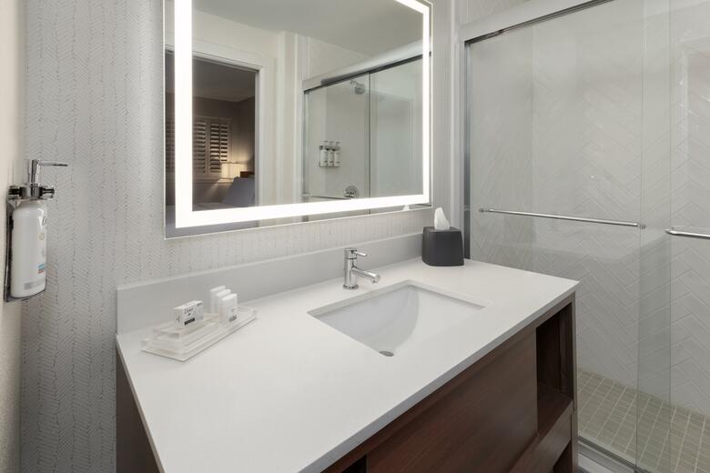 Hotel Holiday Inn El Paso West ? Sunland Park