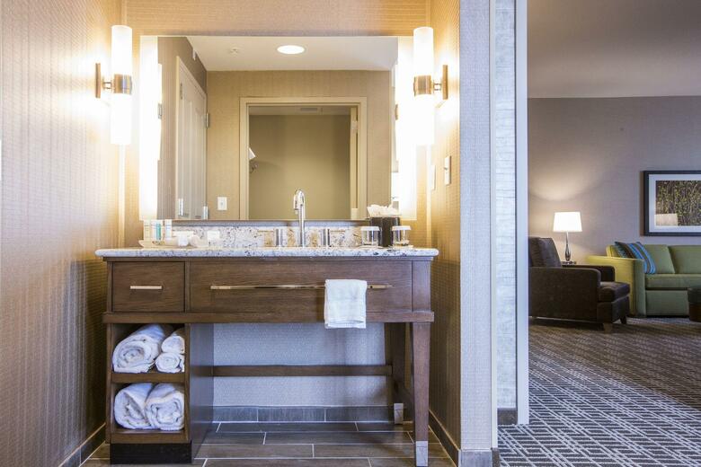 Hotel Hampton Inn Houston Downtown, Tx