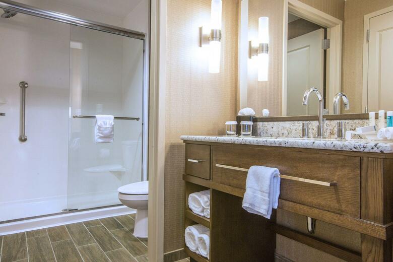 Hotel Hampton Inn Houston Downtown, Tx