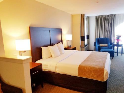 Hotel Comfort Suites Las Colinas