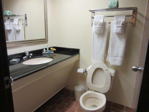 Atrium Hotel And Suites Dfw Airport