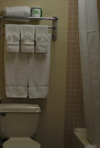 Atrium Hotel And Suites Dfw Airport
