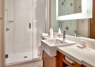 Hotel Springhill Suites By Marriott Houston I-45 North