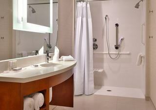 Hotel Springhill Suites By Marriott Houston I-45 North
