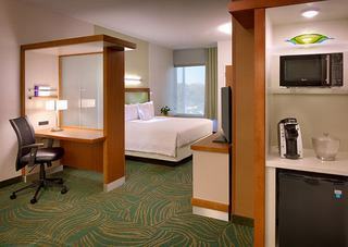 Hotel Springhill Suites By Marriott Houston I-45 North