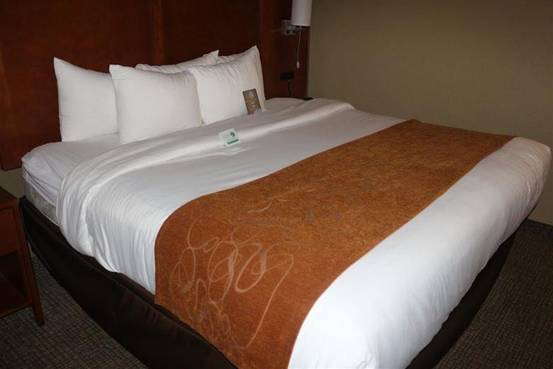 Hotel Comfort Suites New Braunfels