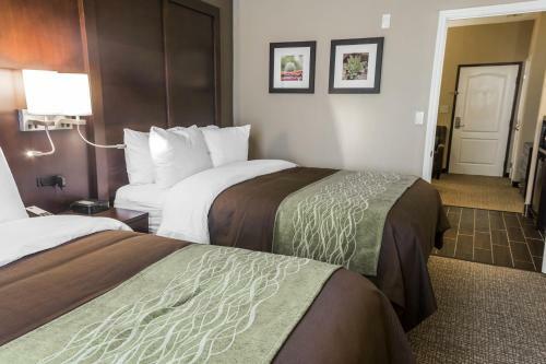 Hotel Comfort Inn & Suites Pharr/mcallen