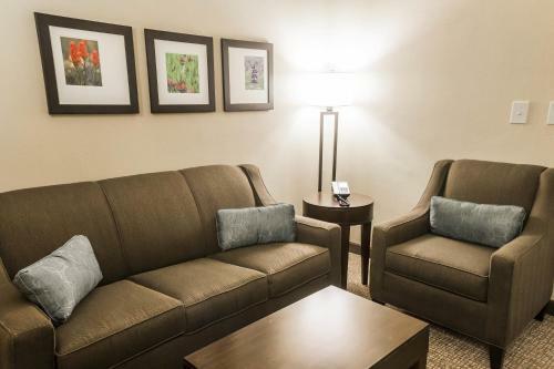 Hotel Comfort Inn & Suites Pharr/mcallen