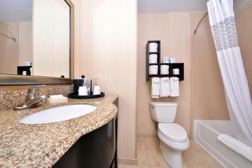 Hotel Hampton Inn Pecos