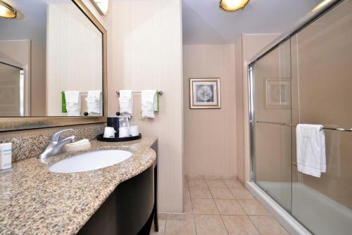 Hotel Hampton Inn Pecos