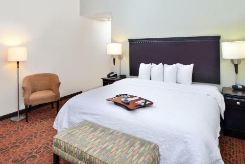 Hotel Hampton Inn Pecos