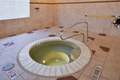Hotel Hampton Inn Pecos
