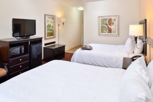 Hotel Hampton Inn Pecos