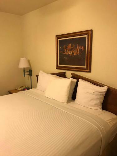 Hotel Days Inn San Angelo