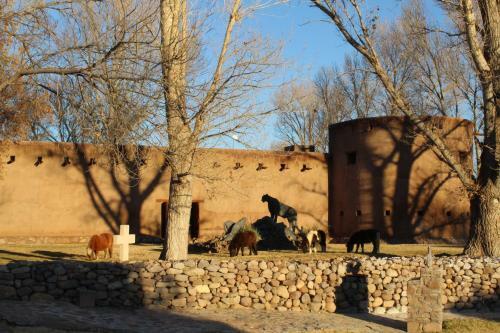 Hotel Cibolo Creek Ranch