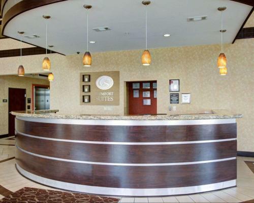 Hotel Comfort Suites Spring