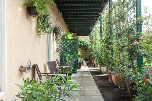 O'brien Historic Hotel Downtown Riverwalk