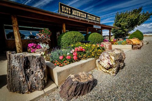 Blue Mountain Rv Park
