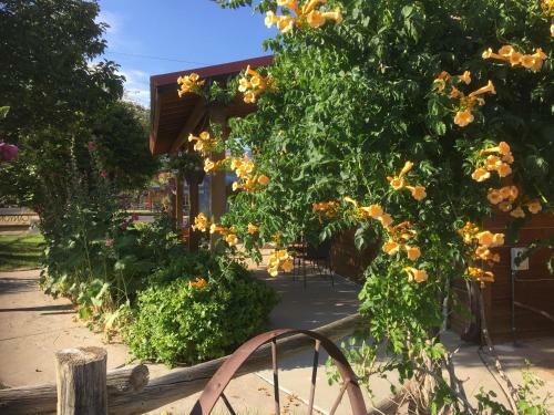 Canyons Bed & Breakfast