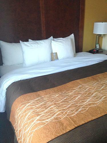Hotel Comfort Inn Brattleboro