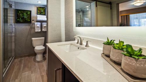 Hotel Best Western Travel Inn Saint George