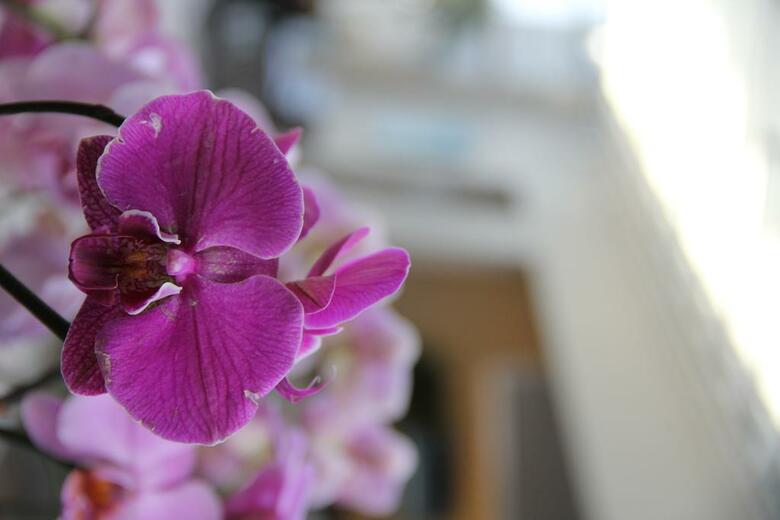 Hotel Clarion Bergen Airport