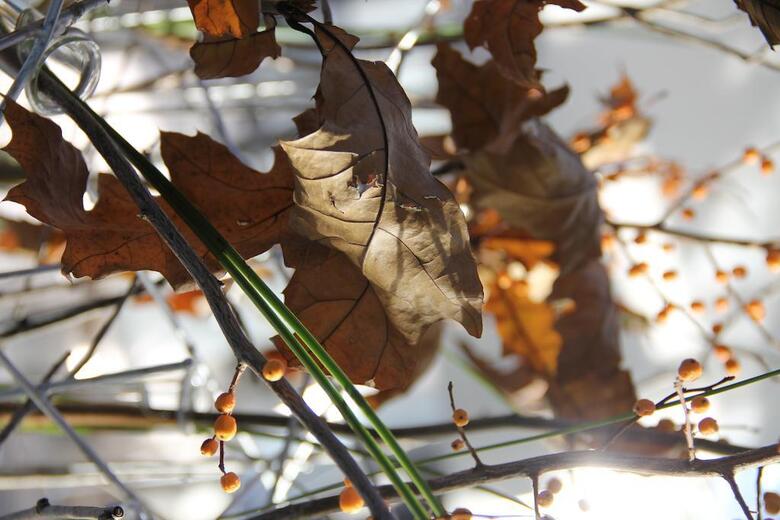 Hotel Clarion Bergen Airport