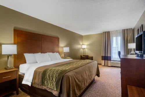 Hotel Comfort Inn Bristol