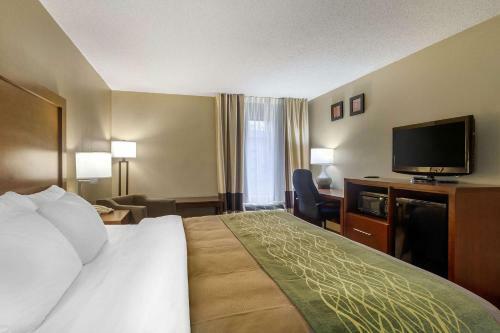 Hotel Comfort Inn Bristol