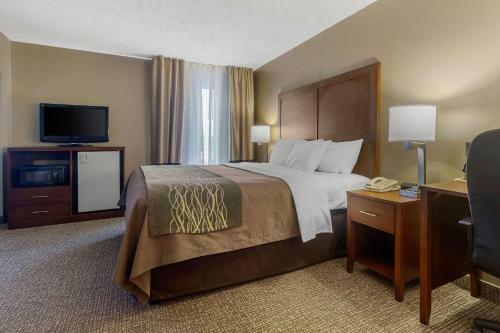 Hotel Comfort Inn Bristol