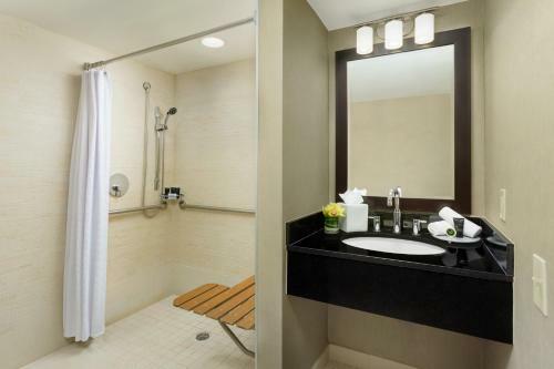 Hotel Hyatt Arlington