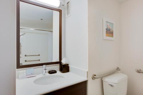 Hotel Hampton Inn Harrisonburg - University