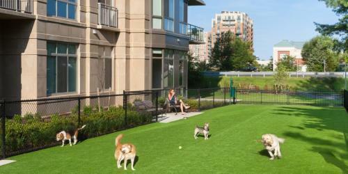 Apartamento Global Luxury Suites Reston Virginia